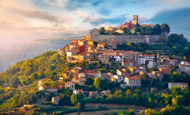 Panorama istarske obale s maslinicima